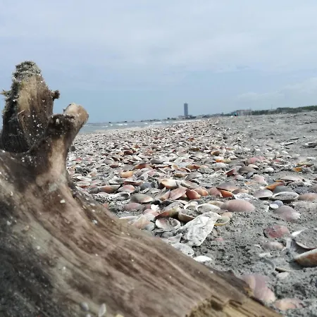 Brasilia Отель 2*