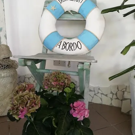Hotel Brasilia Cesenatico