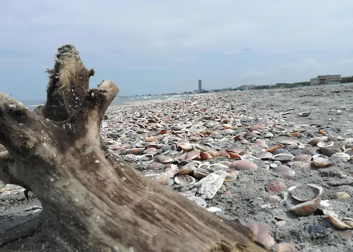 Brasilia Sweet Home מלון 2*