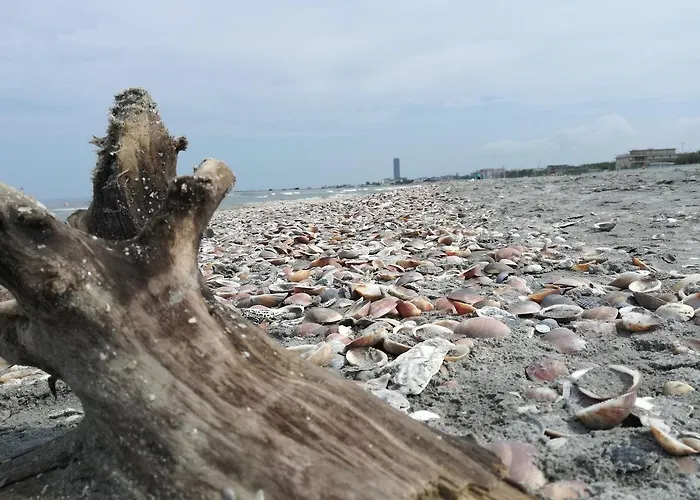 Brasilia Sweet Home 2*